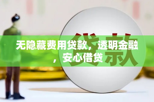 社旗无隐藏费用贷款，透明金融，安心借贷