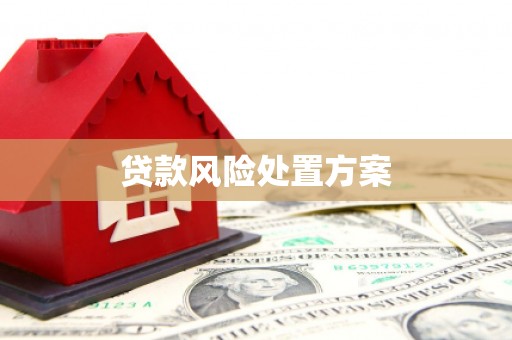 阿克陶贷款风险处置方案