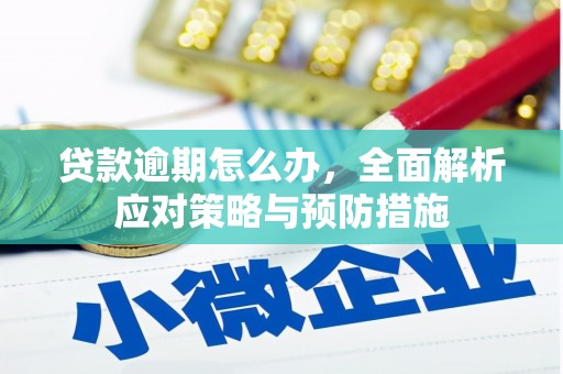 芦山贷款逾期怎么办，全面解析应对策略与预防措施