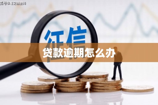 辽源贷款逾期怎么办