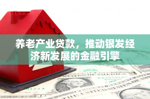 南宁养老产业贷款，推动银发经济新发展的金融引擎