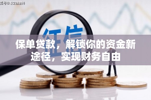 仙游保单贷款，解锁你的资金新途径，实现财务自由