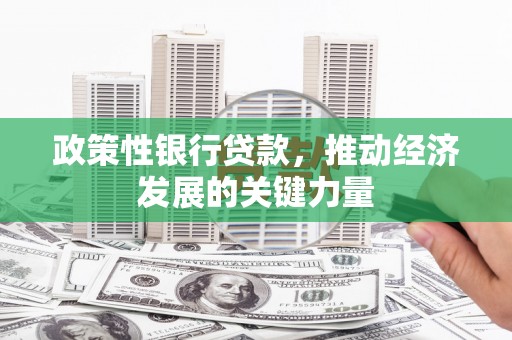 二水政策性银行贷款，推动经济发展的关键力量