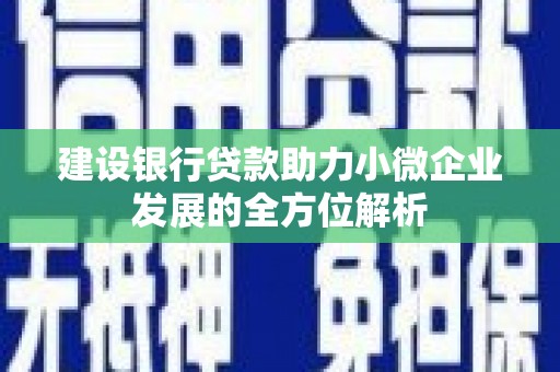 庐江建设银行贷款助力小微企业发展的全方位解析