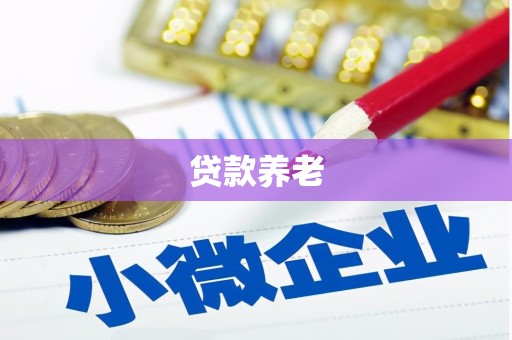 长岭贷款养老