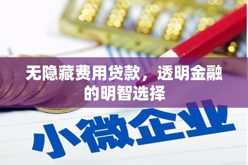 长洲无隐藏费用贷款，透明金融的明智选择