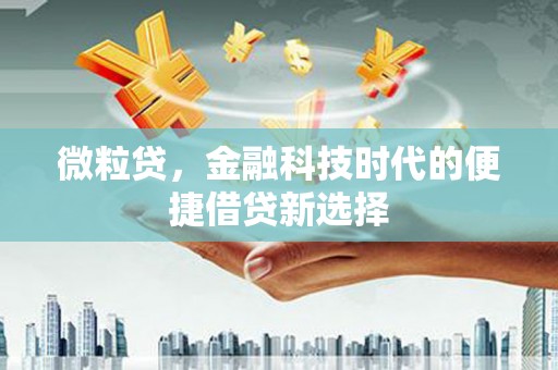 南华微粒贷，金融科技时代的便捷借贷新选择