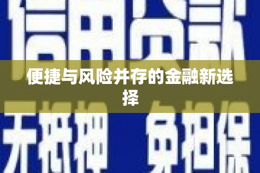 玛家便捷与风险并存的金融新选择