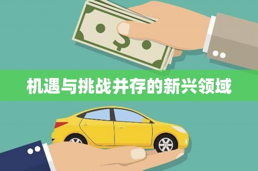 草屯机遇与挑战并存的新兴领域