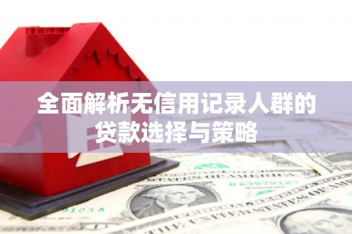 双桥全面解析无信用记录人群的贷款选择与策略