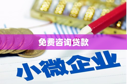 环江免费咨询贷款